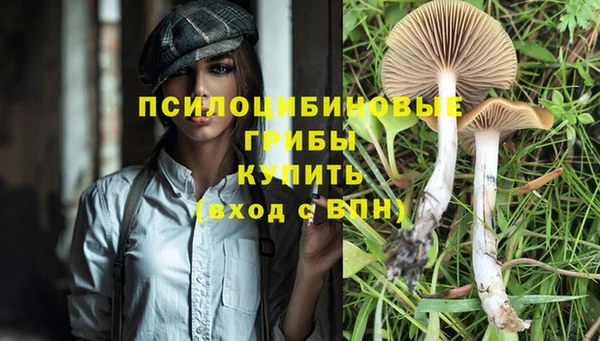 скорость mdpv Алзамай